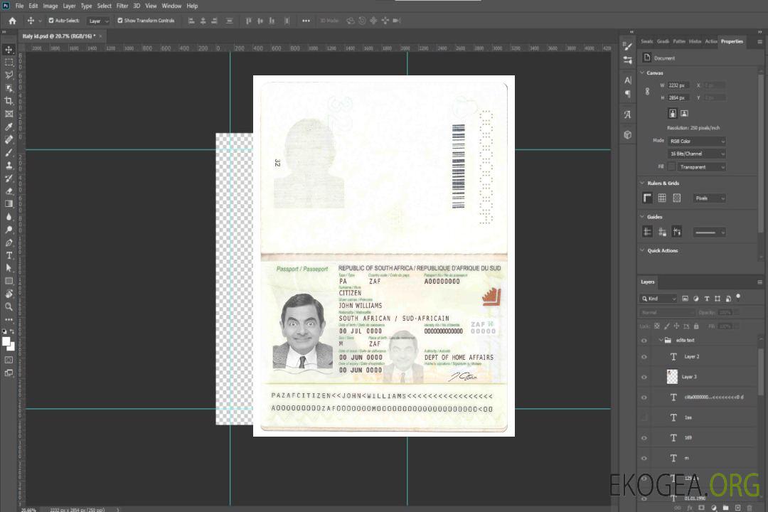 Passeport sud-africain au format PSD, entièrement modifiable (2009 – présent) template